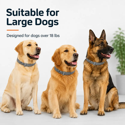 Dog Collar for Large Dogs over 18 Lbs, Adjustable Fresh Scent Lightweight Pet Collar for Everyday Wear, Walks & Outdoor Use