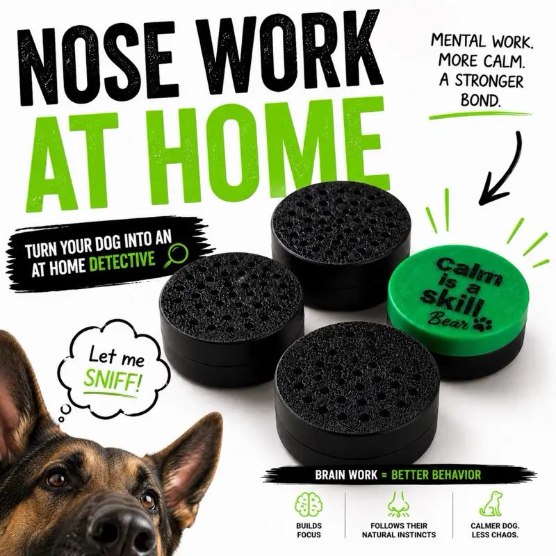 Dog Scent Work Training Pods | Calm Is a Skill Nose Work Kit