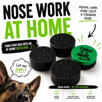 Dog Scent Work Training Pods | Calm Is a Skill Nose Work Kit