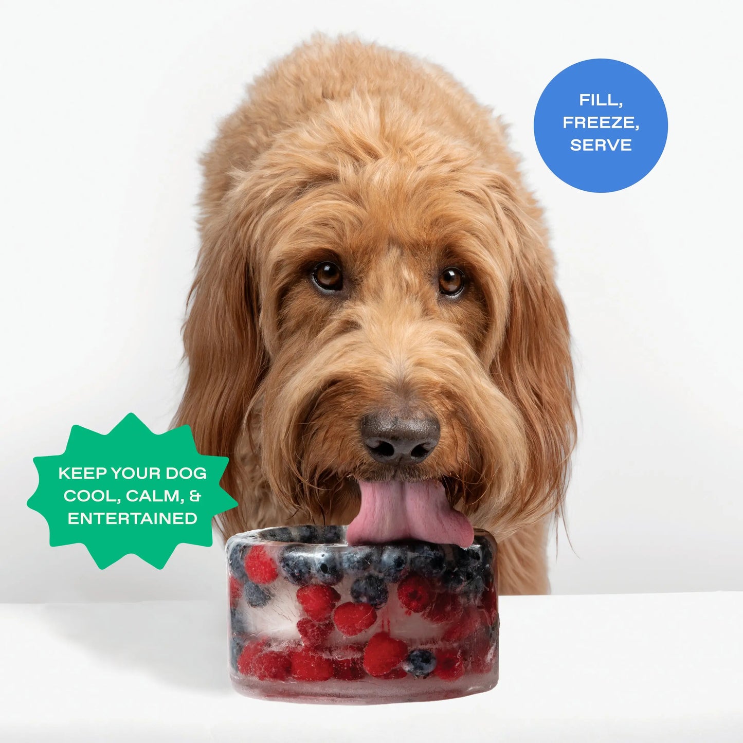 Freeze-Your-Own Dog Treat Bowl